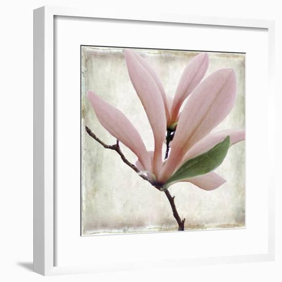 Petal Purity III-Mindy Sommers-Framed Giclee Print