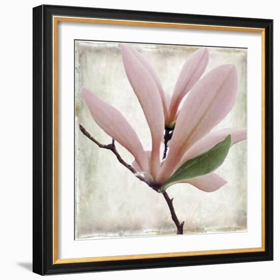 Petal Purity III-Mindy Sommers-Framed Giclee Print