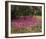 Petal Shower-Bent Rej-Framed Giclee Print