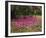 Petal Shower-Bent Rej-Framed Giclee Print