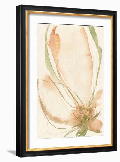 Petal Sketches I-Jennifer Goldberger-Framed Art Print