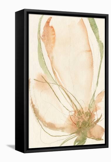 Petal Sketches I-Jennifer Goldberger-Framed Stretched Canvas