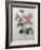 Petaled Rose-Pierre-Joseph Redoute-Framed Art Print