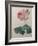 Petaled Rose-Pierre-Joseph Redoute-Framed Art Print