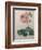 Petaled Rose-Pierre-Joseph Redoute-Framed Premium Giclee Print