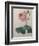 Petaled Rose-Pierre-Joseph Redoute-Framed Premium Giclee Print