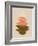 Petals #7-Alisa Galitsyna-Framed Photographic Print