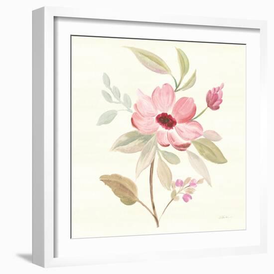 Petals and Blossoms VI-Silvia Vassileva-Framed Art Print