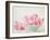 Petals and Porcelain-Sarah Gardner-Framed Photographic Print