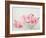 Petals and Porcelain-Sarah Gardner-Framed Photographic Print