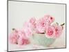 Petals and Porcelain-Sarah Gardner-Mounted Photographic Print