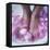 Petals In a Foot Bath-Cristina-Framed Premier Image Canvas