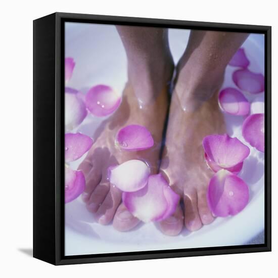 Petals In a Foot Bath-Cristina-Framed Premier Image Canvas