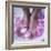 Petals In a Foot Bath-Cristina-Framed Premium Photographic Print