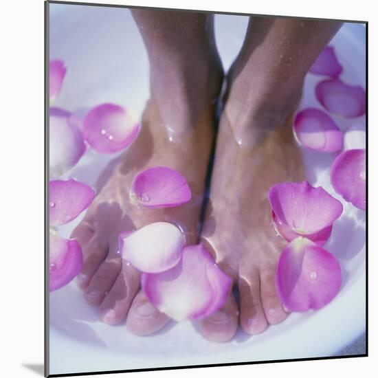 Petals In a Foot Bath-Cristina-Mounted Premium Photographic Print