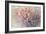 Petals in the Wind-Tim O'toole-Framed Giclee Print