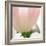 Petals of a Tulip-George Lepp-Framed Photographic Print