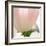 Petals of a Tulip-George Lepp-Framed Photographic Print