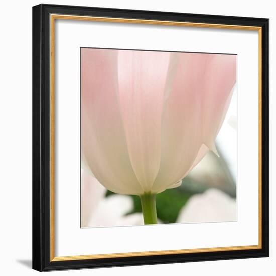 Petals of a Tulip-George Lepp-Framed Photographic Print