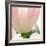 Petals of a Tulip-George Lepp-Framed Photographic Print