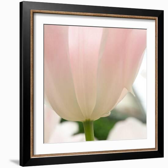 Petals of a Tulip-George Lepp-Framed Photographic Print