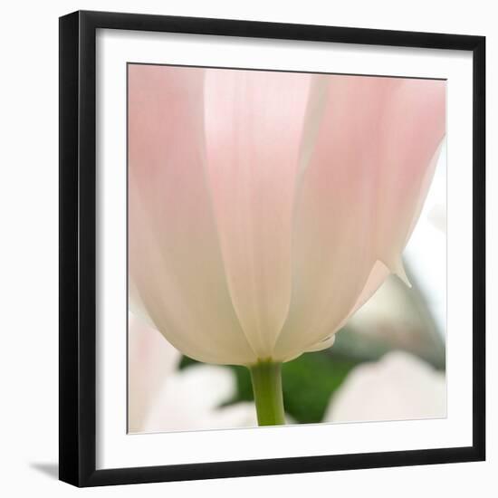 Petals of a Tulip-George Lepp-Framed Photographic Print