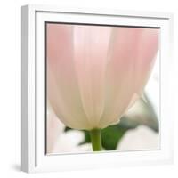 Petals of a Tulip-George Lepp-Framed Photographic Print