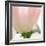 Petals of a Tulip-George Lepp-Framed Photographic Print