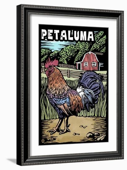 Petaluma, California - Rooster - Scratchboard-Lantern Press-Framed Art Print