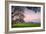 Petaluma Farm Scene, Sonoma County California-Vincent James-Framed Photographic Print