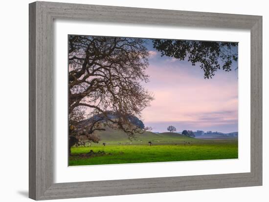 Petaluma Farm Scene, Sonoma County California-Vincent James-Framed Photographic Print