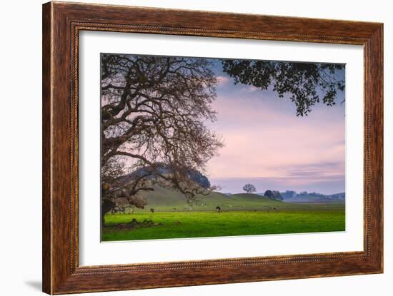 Petaluma Farm Scene, Sonoma County California-Vincent James-Framed Photographic Print