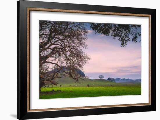 Petaluma Farm Scene, Sonoma County California-Vincent James-Framed Photographic Print