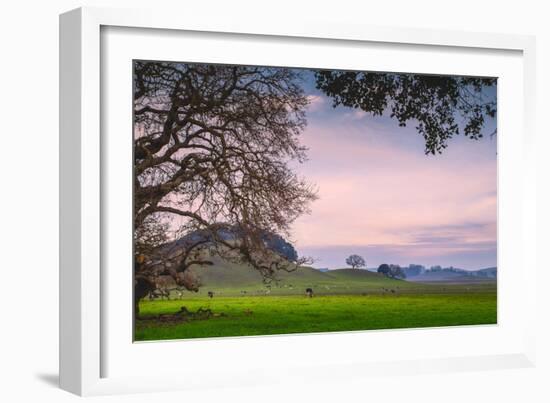 Petaluma Farm Scene, Sonoma County California-Vincent James-Framed Photographic Print