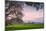 Petaluma Farm Scene, Sonoma County California-Vincent James-Mounted Photographic Print