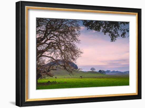 Petaluma Farm Scene, Sonoma County California-Vincent James-Framed Photographic Print