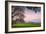 Petaluma Farm Scene, Sonoma County California-Vincent James-Framed Photographic Print