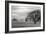 Petaluma Winter Oak Landscape, Northern California-Vincent James-Framed Photographic Print