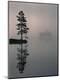 Premium Photographic Print