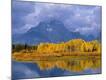 Photographic Print