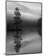 Premium Photographic Print