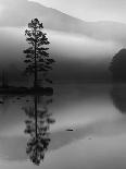 Scots Pine Tree Reflected in Lake at Dawn, Loch an Eilean, Scotland, UK-Pete Cairns-Photographic Print