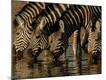 Premium Photographic Print