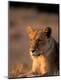 Photographic Print