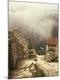 Photographic Print