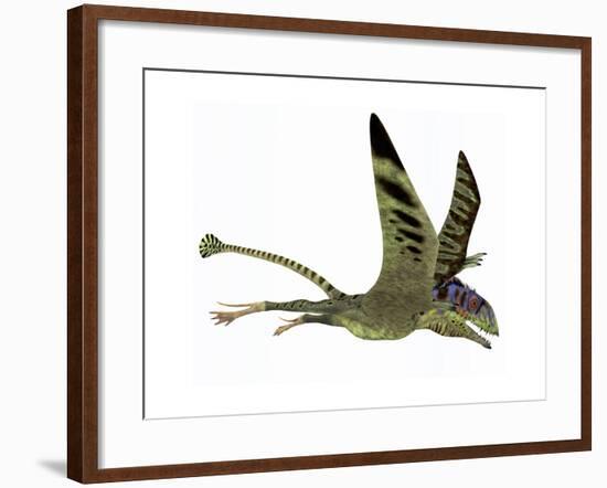 Peteinosaurus Pterosaur from the Triassic Period-Stocktrek Images-Framed Art Print