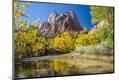 Photographic Print