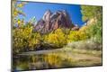 Photographic Print