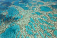 Aerial View of the Great Barrier Reef, Queensland, Australia-Peter Adams-Photographic Print