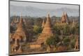 Premium Photographic Print